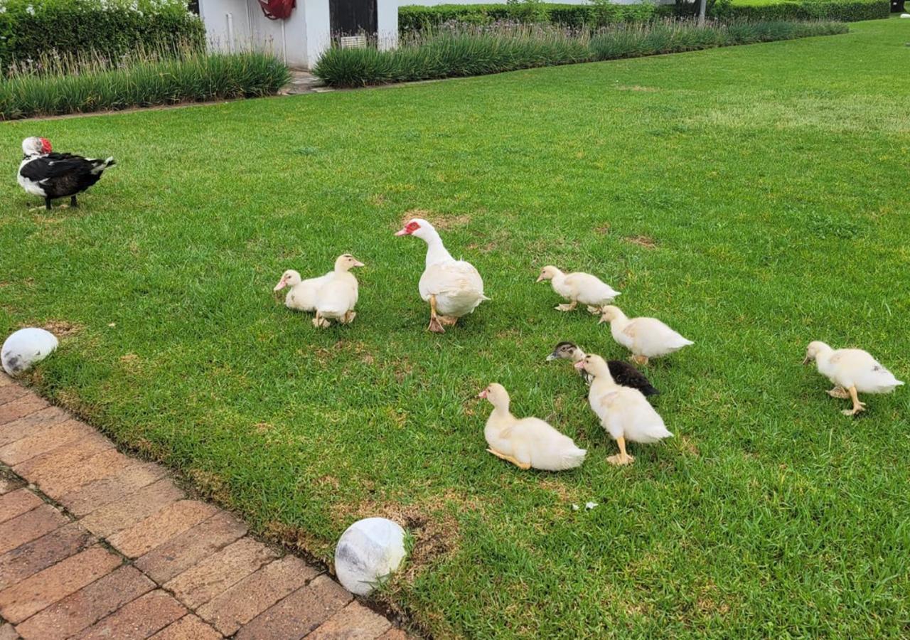 Kievits Kroon Country Estate y spa Pretoria-Noord Exterior foto