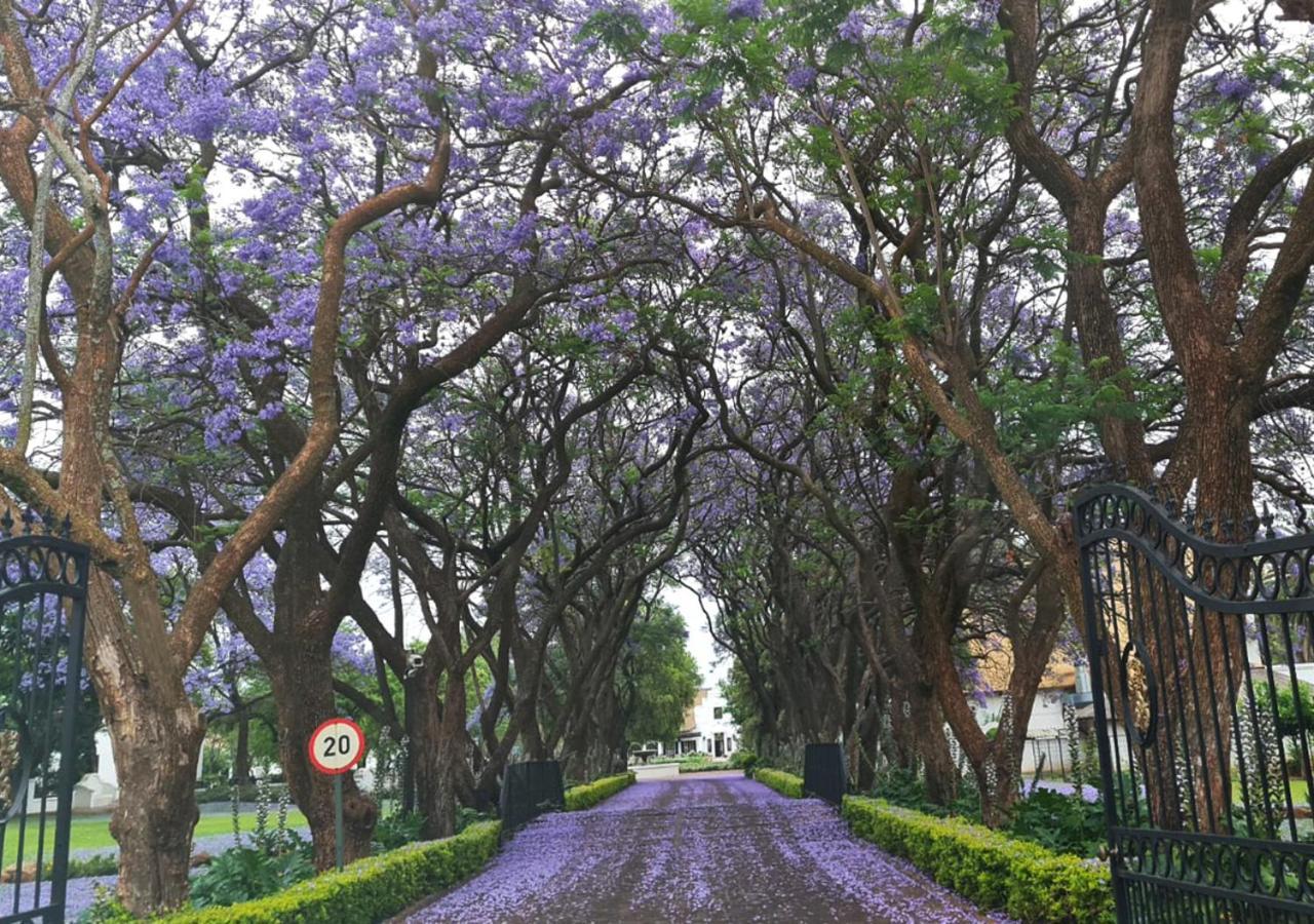Kievits Kroon Country Estate y spa Pretoria-Noord Exterior foto